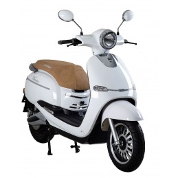 Viarelli Vincero 45km/h...